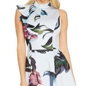 Ted Baker Evvia Eden Ruffle Front Skater Dress